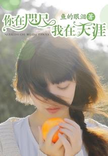 甜圈app破解版