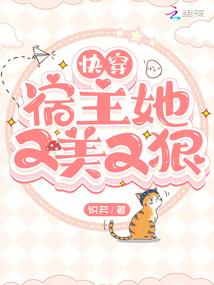 职业索赔官司