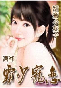 王者荣耀李元芳暴击装