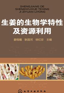 盗墓笔记五行装备