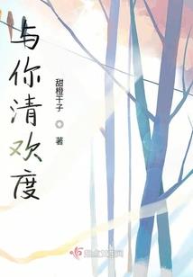荒野之息 盖侬