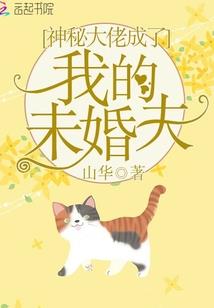 狐狸皮肤最新