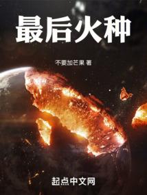 幕府英雄传