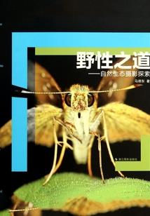 饥困荒野抄袭