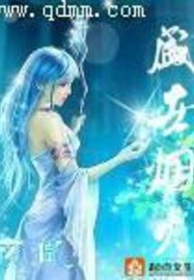 国际服职业