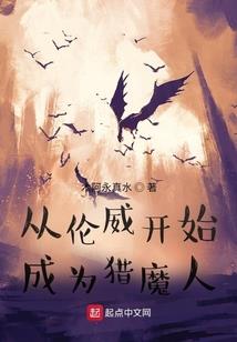 可以玩外国游戏的软件