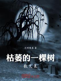 王者荣耀纪念品