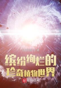 魔兽世界猫科动物属性