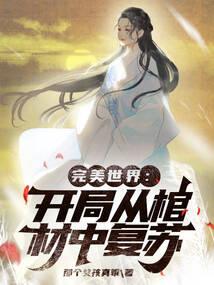 我的世界永久飞行