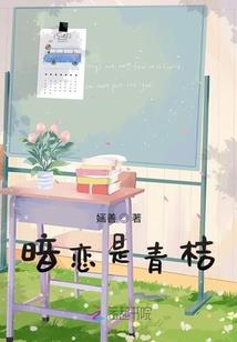 seo更改图片属性