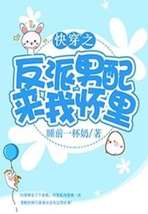 睢宁职业介绍