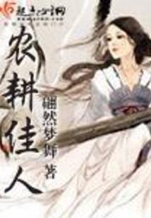 英雄与将军 汉化