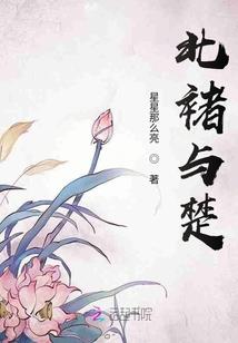 剑三五毒门派跟宠攻略