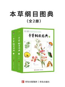 远古神圣套有什么属性