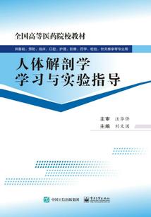 诛仙送装备