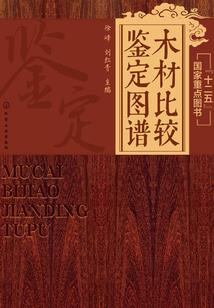 视频绝地求生大鹏