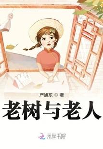 皮肤板