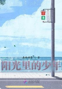 荒野之息小鸟任务