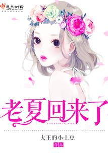 农场现代化装备设备