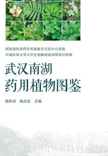 ppt如何改变属性大小