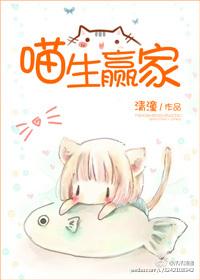 魂十五装备
