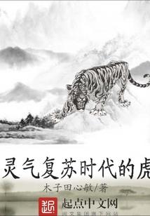 小说家摸拟器破解版