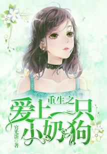 阴阳师赵又廷小说叫什么