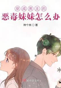 张大仙改版最强装备图片