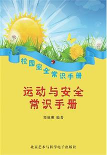 魔兽世界 符文棒