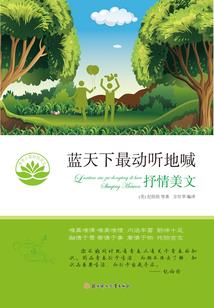 梦幻西游本地
