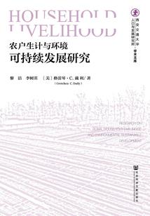 大乔的星元皮肤