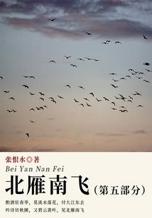 阴阳师阿呆