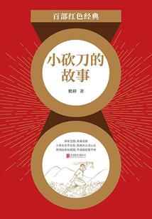 王者寻飞全文下载
