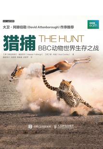 属性哲学概念