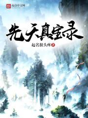 朕的江山单机破解版
