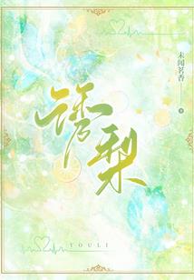 魔兽怀旧服披风属性
