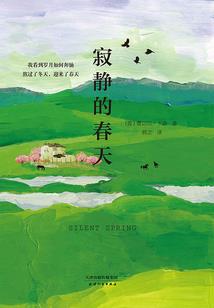 29耐功属性