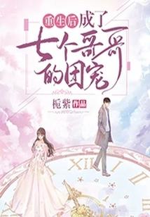 太阁立志传mod