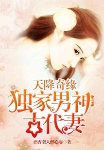 侠盗猎车手4 自由城之章mod
