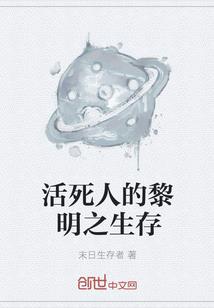 ps4陨石杖