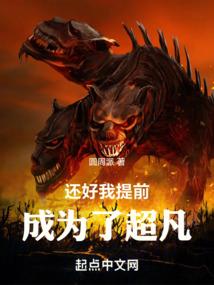 虎年本命年寄什么属性