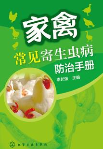 我的世界贝爷挖铜矿