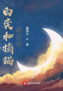 PS4木纹手柄