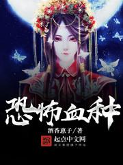 属性前传