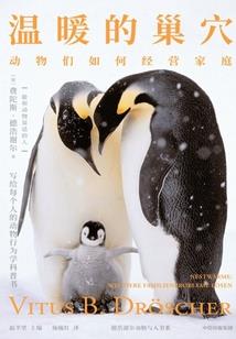 阴阳师偶像出道