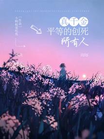 英雄使命dvd版