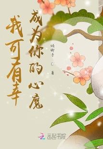 王哈桑的属性