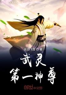 国际服荒野乱斗开箱软件