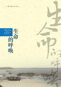什么赛车类手游好