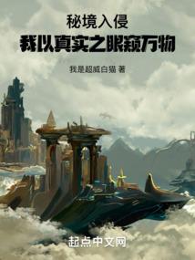 幻影骑士团mod